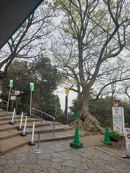 山頂駅