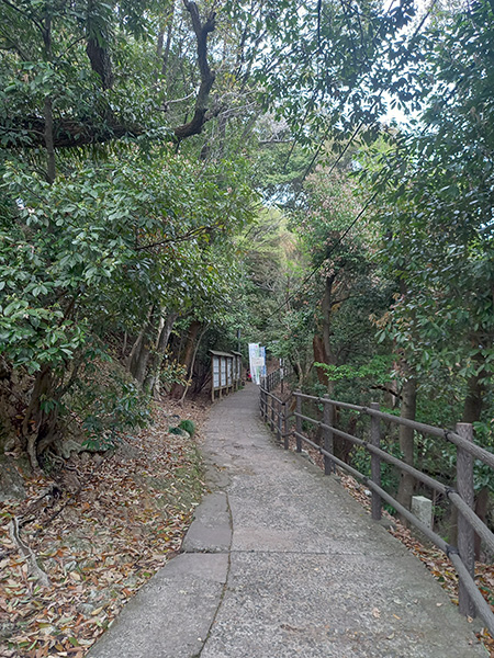 山道