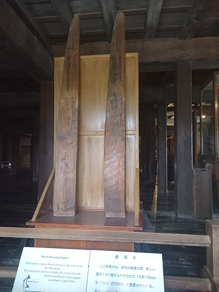 展示物鯱真木