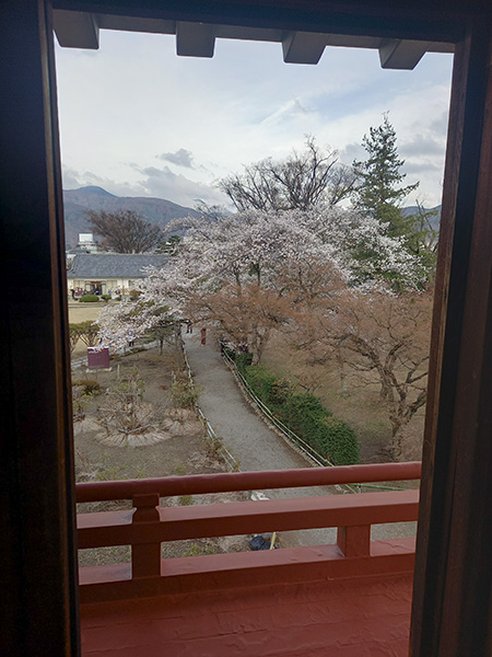 月見櫓の眺め