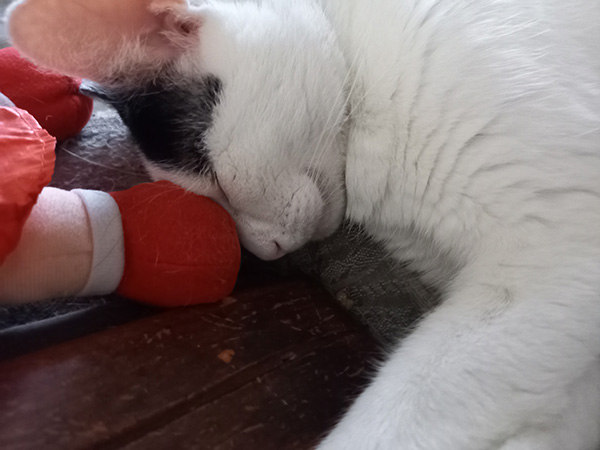 居眠り