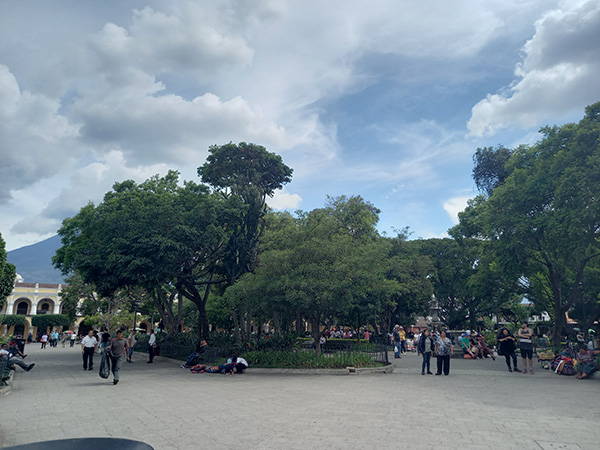 中央公園