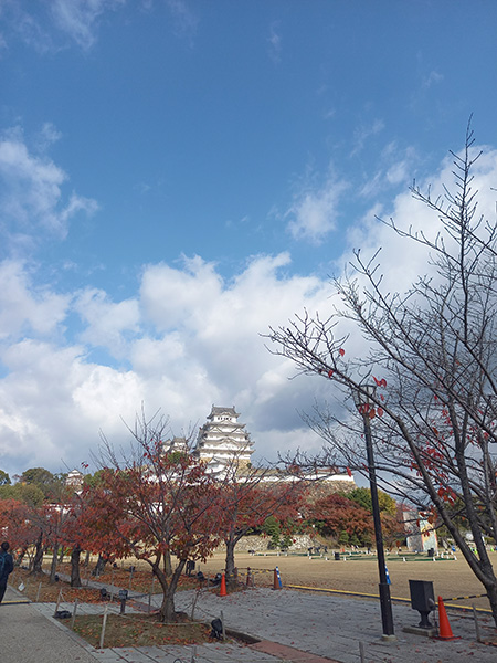 三の丸より天守