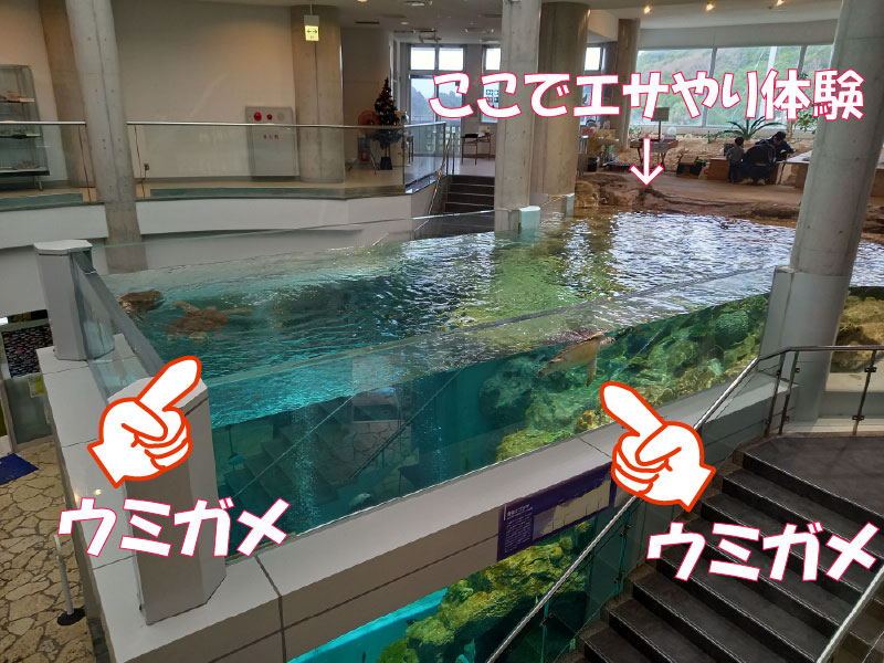 えさやり