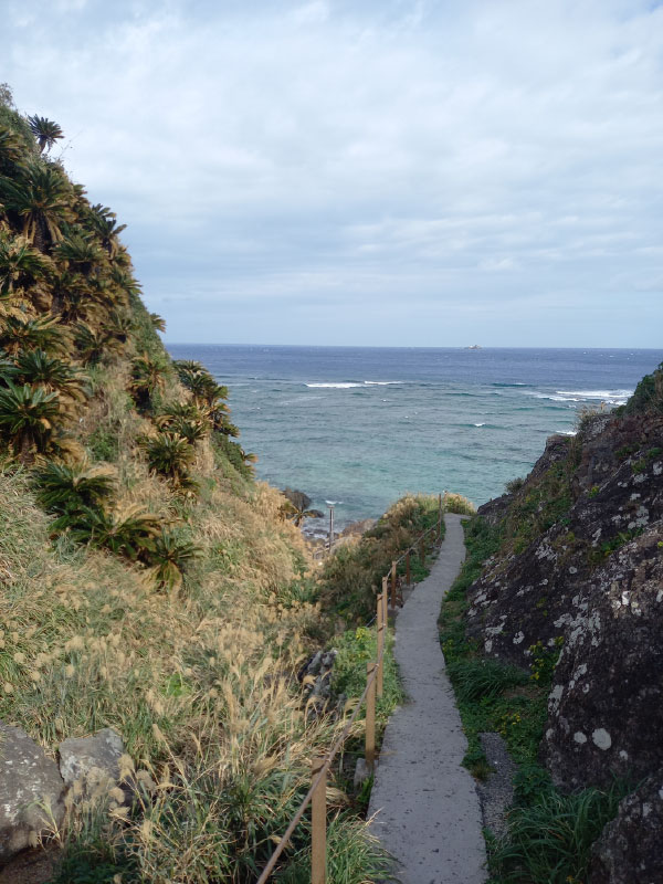 灯台へ野道