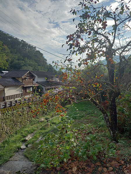遊歩道入口の川