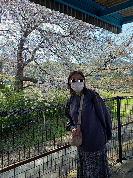 ふーこ桜