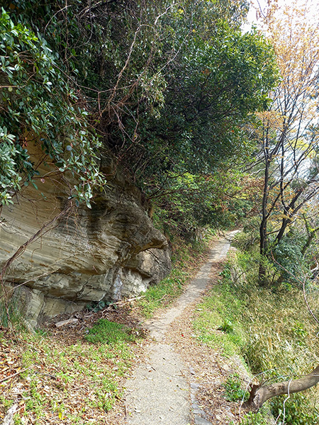 散策路
