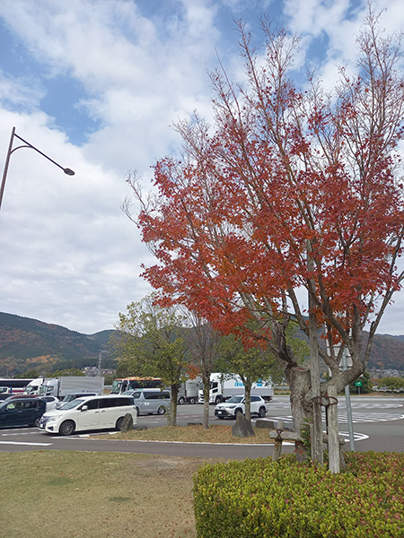 サービスエリア2