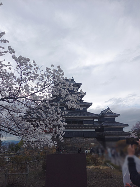 夕方のお城
